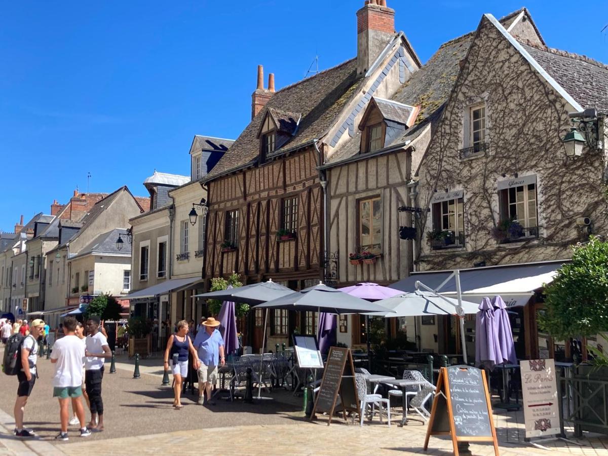 L'Amboisienne, Au Pays Des Chateaux Amboise Eksteriør bilde